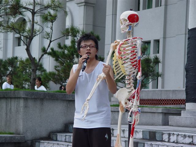 人體骨架的解說